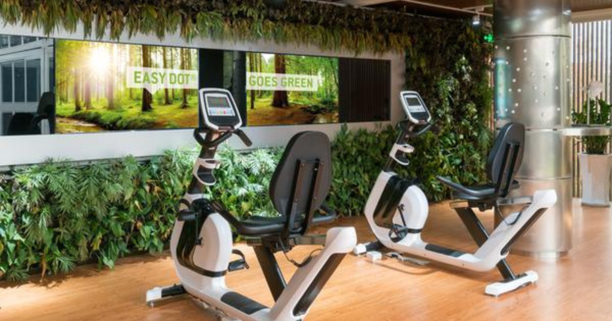 Neschen-easy-dot-1200x630