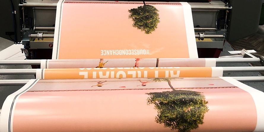 img-Cactus-Second-Chance