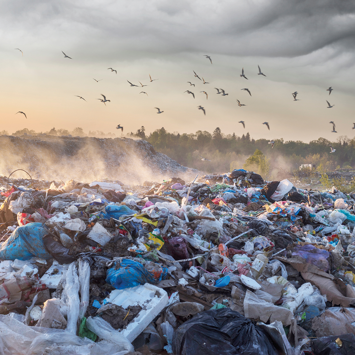 beautiful foggy dawn of the Sun over a huge field of urban garbage, saturated with poisonous fumes of decomposition of organic waste and household chemicals